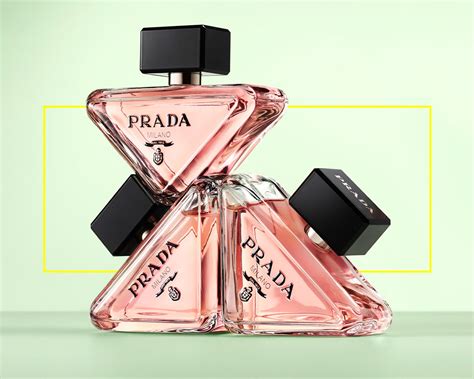 prada paradoxe muse